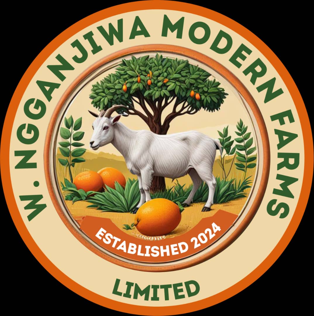 W. Ngganjiwa Modern Farms